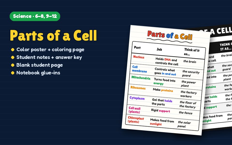 Parts of a Cell Anchor Chart