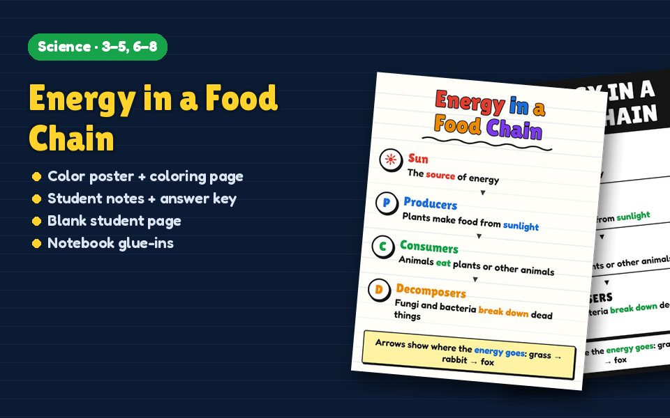Energy in a Food Chain Anchor Chart