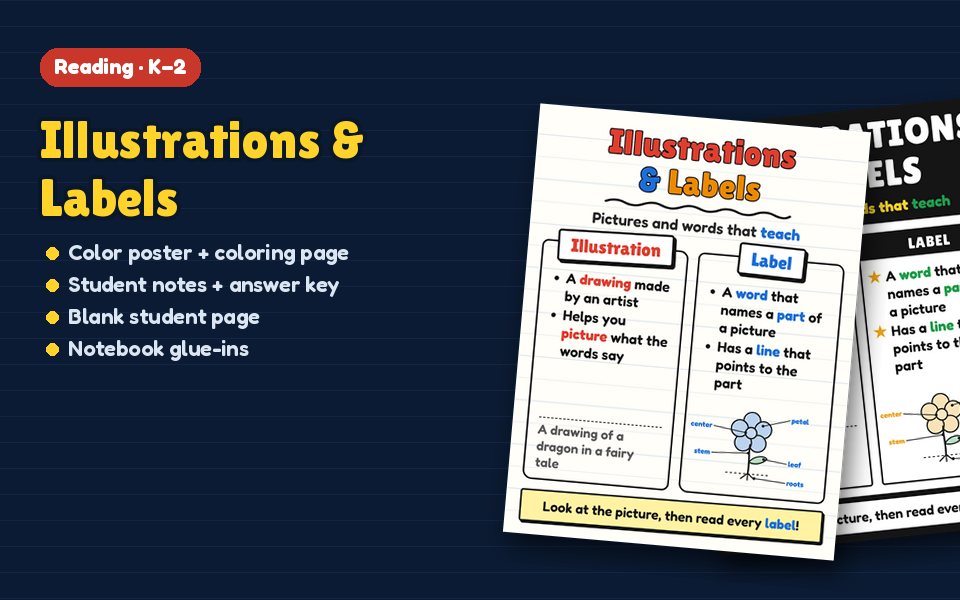 Illustrations & Labels Anchor Chart