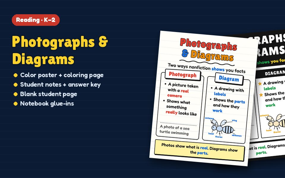 Photographs & Diagrams Anchor Chart
